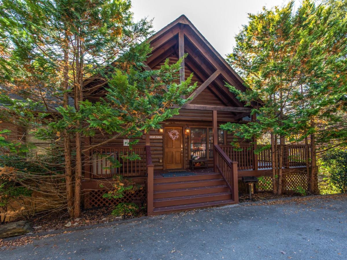 Mountain Flower Pigeon Forge Bagian luar foto
