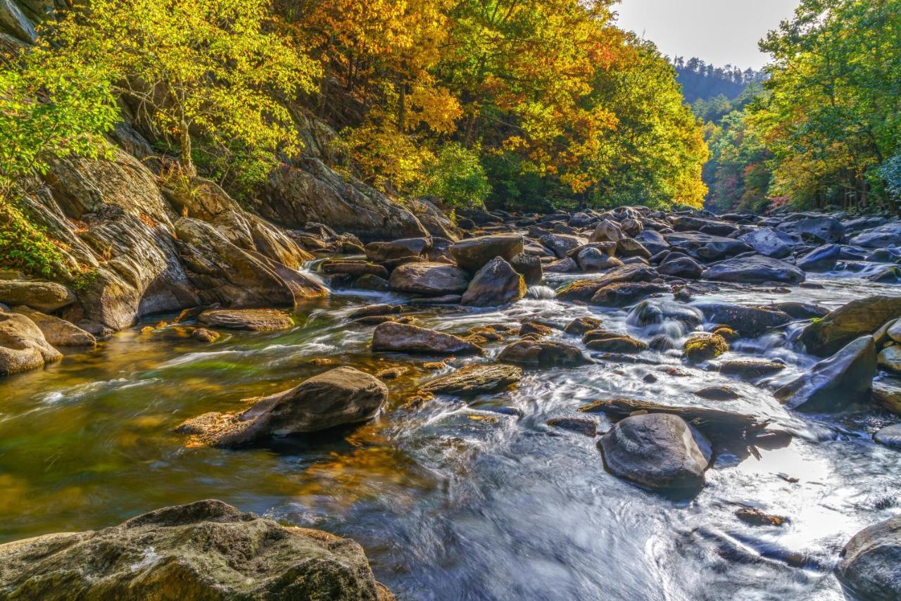 Mountain Flower Pigeon Forge Bagian luar foto